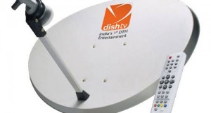 dish